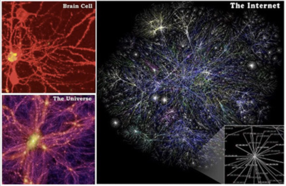 图2. 大脑、宇宙和互联网网结构<sup>[3]</sup><br>