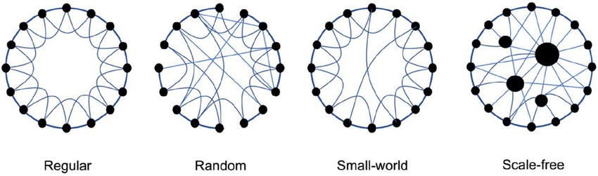 图13. 规则、随机、小世界、无标度四种网络<sup>[18]</sup>。每个网络都有16个节点，在最左边的规则网络中，两个节点距离最远为8；如果存在几个长程链接，即几个节点多出额外连接，就会开始形成小世界网络，网络平均距离降低；如果再多几个超级节点的话，就会形成无标度网络，这时网络节点之间的平均距离已极大降低。可以想象，如果没有电话、邮件、社交网络等通讯媒体，人类仅仅凭借相同地理位置连接的话，所有人之间的平均距离该是多么巨大，数量将达到亿级，而社交网络已能将这个数字降低到6以下、甚至脸书上的3.5。