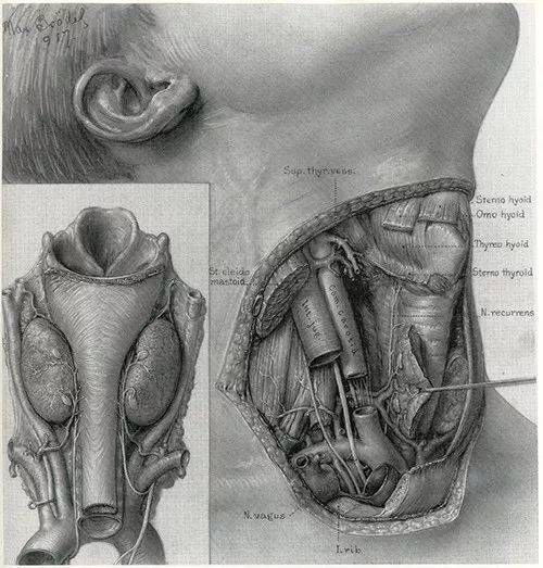 Max Brödel 的作品，纤毫毕现<br>