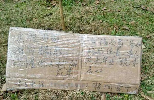 南京一植物学博士为了毕业论文，花费四年时间培育4棵树苗，被人挖走两棵<br>