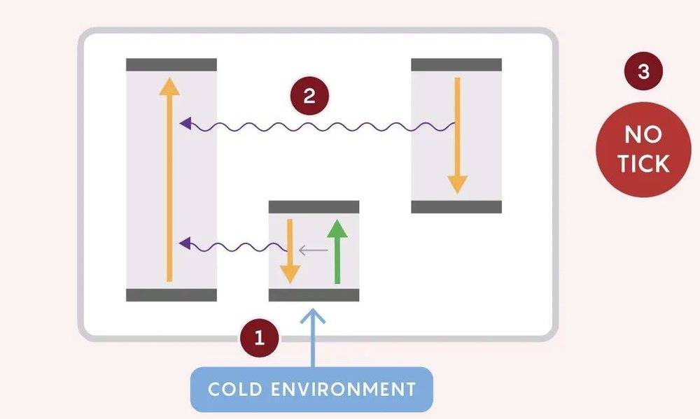 即使是好的时钟有时也不会跳动。在罕见的情况下，来自较冷环境的光子可能会激发中间的原子（1）。当这个原子和它右侧的原子一起退激发时，共同释放的能量会激发左侧的原子（2），没有滴答产生（3）。事实上，这个时钟跳了一拍。<br label=图片备注 class=text-img-note>