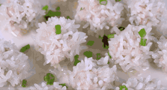 △最朴素的稻米，也能做出不同的花样<br>