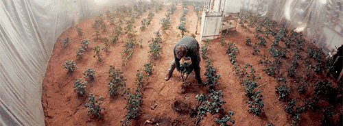 电影《火星救援》中，被困在火星上的主角为了活下来开始种土豆 | 图源：火星救援