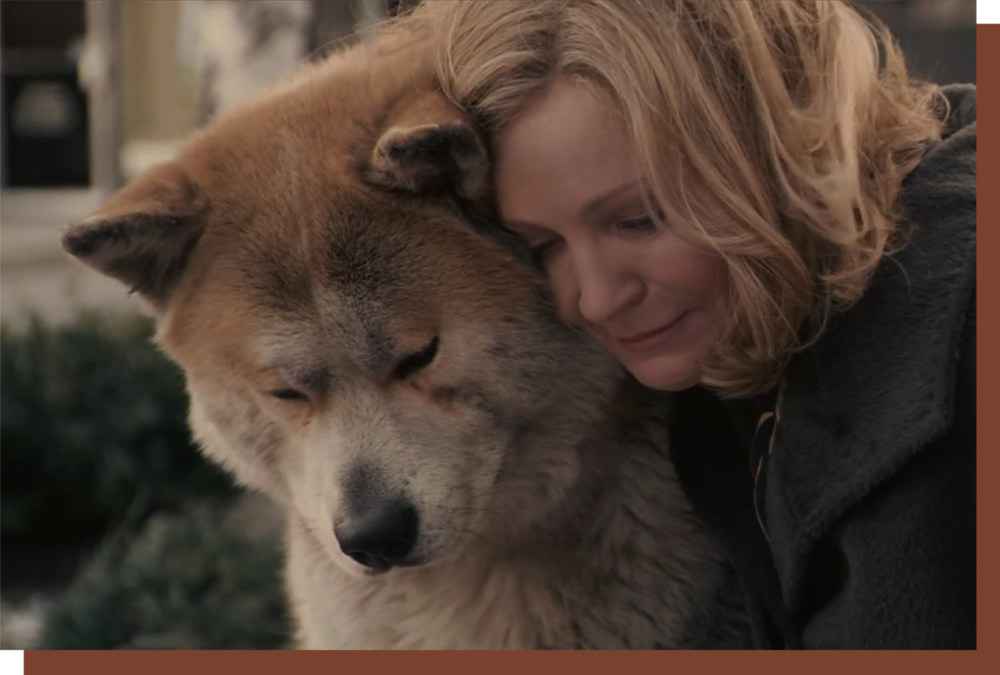 电影《忠犬八公的故事》中，狗狗 Hachi 在主人去世后每天一如往常般等他回家，十年的时间，可以说是终其一生。人与动物之间的相互陪伴，在任何时候都显得格外动人。© 《忠犬八公的故事》