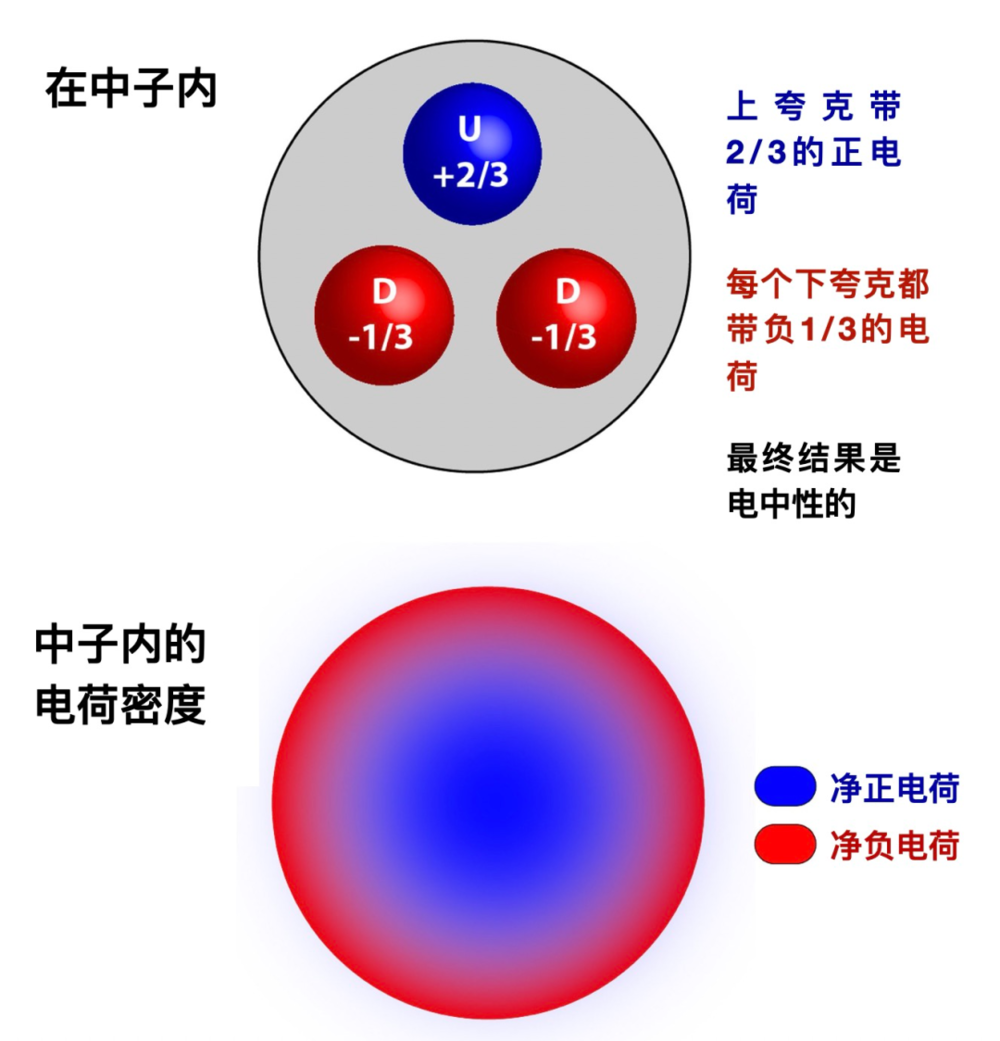  原子核中的每个中子都是由三个夸克子组成的，三个夸克的电荷之和为零，使其呈电中性；电荷分布为，带正电荷的夸克更有可能出现在中子中心，而带负电荷的夸克则在中子外部。| 图片来源：NIST