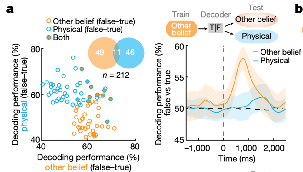图5 单神经元活动对他人信念（other belief）vs.非信念表征（physical location）的解码成功率：可以看出，能够成功区分他人信念准确与否的神经元（蓝色）与能够区分非信念表征准确与否的神经元（橙色）只有少数重合。