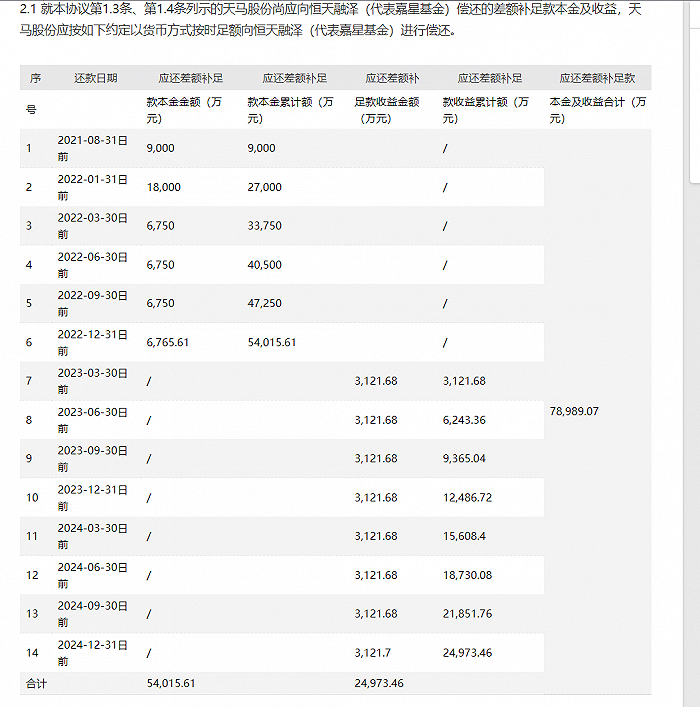 图片来源：天马股份公告