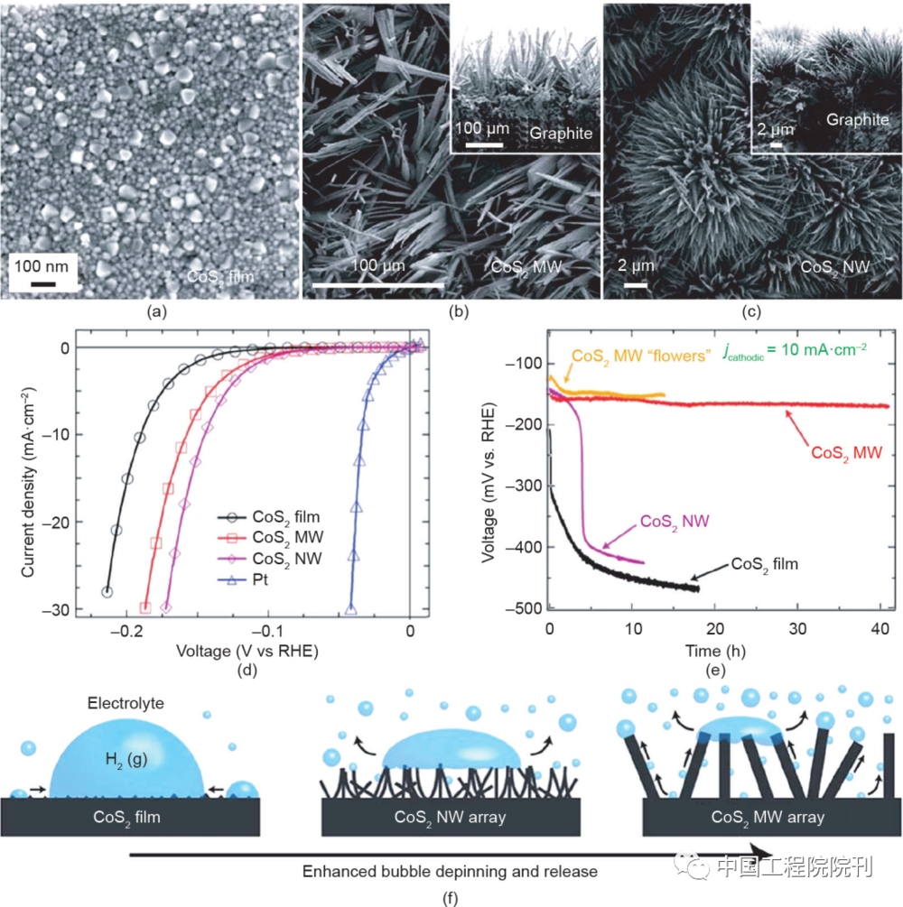 图5（a）~（c）不同形貌CoS2的扫描电镜图（SEM）；CoS<sub>2</sub>电极电化学表征（d）和稳定性测试（e）；（f）不同结构的CoS<sub>2</sub>氢气逸出示意图<br>