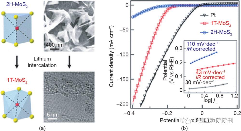 图9 （a）经过锂插层后由半导体2H-MX<sub>2</sub>到金属态1T-MX<sub>2</sub>的相转变；（b）两种形态MoS<sub>2</sub>的HER极化曲线<br>