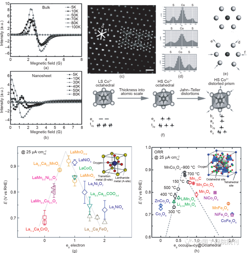图11 （a）、（b）块状和Co<sub>3</sub>S<sub>4</sub>纳米片的电子顺磁共振图（EPR）；CSATNs的HAADF（c）和强度线（d）；Jahn-Teller变形（e）和结构转变（f）图示；（g）钙钛矿氧化物的ORR活性对e<sub>g</sub>电子的函数图；（h）在尖晶石氧化物的ORR活性中位于八面体位点的活性元素e<sub>g</sub>的作用<br>