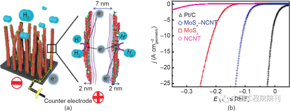 图13 （a）MoS<em><sub>x</sub></em> /NCNT森林状杂化催化剂的HER示意图；（b）不同样品的HER活性曲线<br>