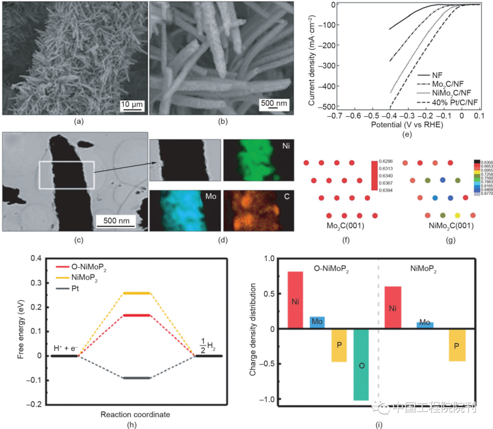 图16（a）~（d）NiMo2C电极的扫描电镜、透射电镜图和元素能谱图；（e）NiMo<sub>2</sub>C电极的电化学析氢活性曲线；Mo<sub>2</sub>C (001)（f）和NiMo<sub>2</sub>C (001)（g）的Bader电荷分布图；不同NiMo基样品的氢自由能（h）和电荷密度分布（i）图<br>