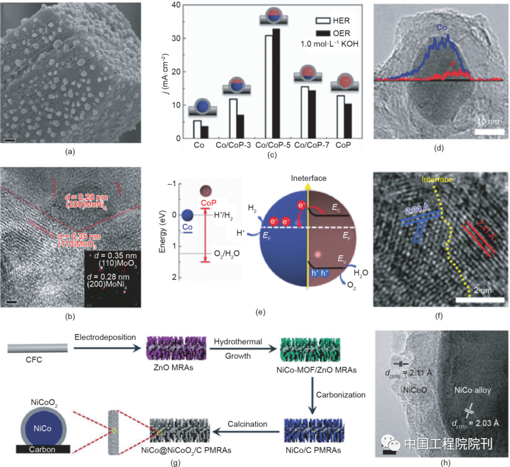 图18 （a）、（b）MoNi<sub>4</sub>/MoO<sub>2</sub>@Ni的典型SEM图；（c）制备样品的电流密度；（d）Co/CoP-5纳米颗粒的组成曲线；（e）金属Co、CoP和基于 Co/CoP的Mott-Schottky接触的电子结构；（f）Co/CoP-5纳米颗粒的HRTEM图；NiCo@NiCoO<sub>2</sub>/C PMRAs的制备过程（g）和HRTEM图（h）<br>