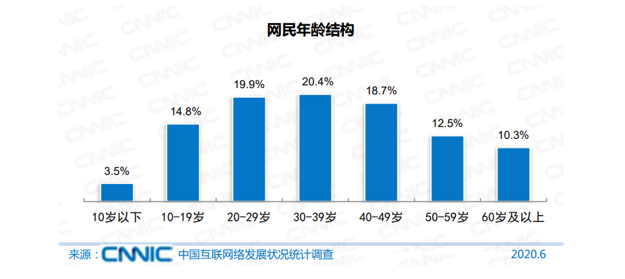 中国60岁以上网民占网民总数的10.3%。图片：第46次《中国互联网络发展状况统计报告》