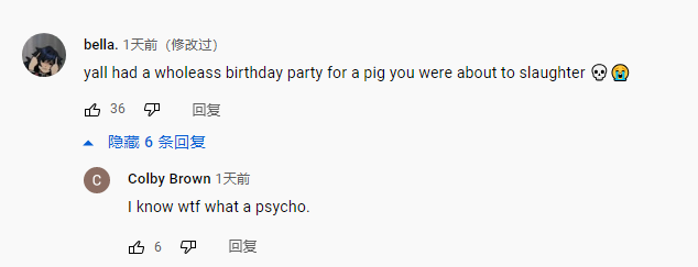 “你给你要宰杀的猪举行了一个盛大的生日Party”<br>