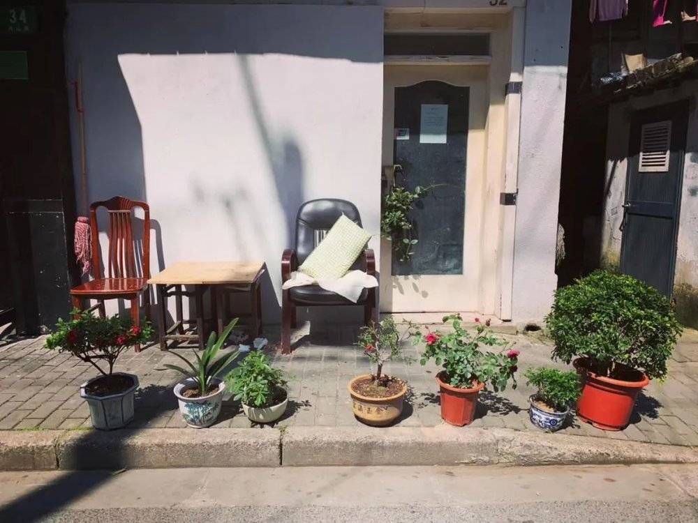 每次经过，盆栽和椅子都摆得不一样  摄于2019年5月