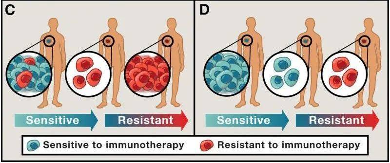 以免疫治疗为例，图C就是典型的“持久存留细胞”导致全面耐药（图片来源：Cell）