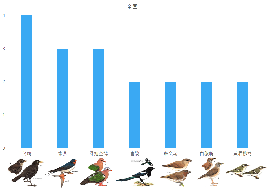 调研内发生鸟撞的鸟种 | 调研组供图