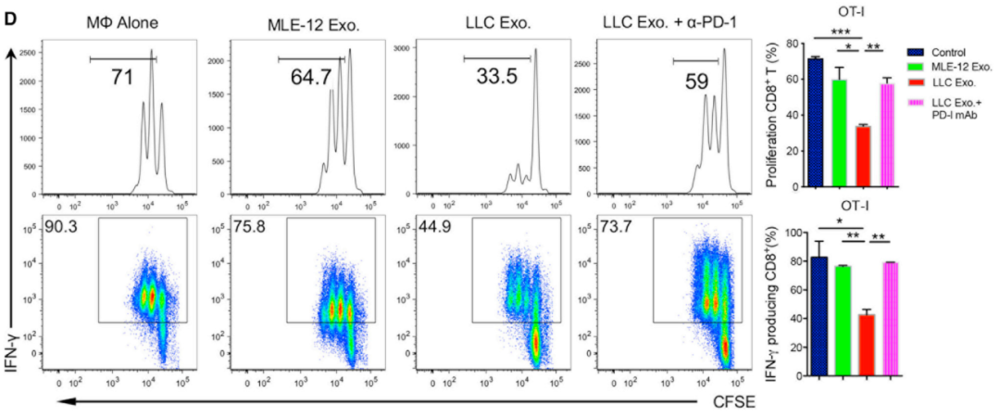 与巨噬细胞共培养后，CD8+T细胞的增殖和产生IFN-γ水平都有所降低<br>