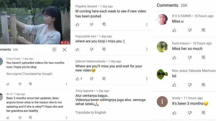 在李子柒YouTube最后上传的视频下方，海外用户们刷屏留言询问博主的近况