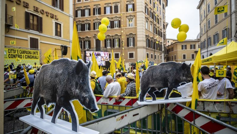 今年七月罗马的“野猪抗议” / Instagram截图