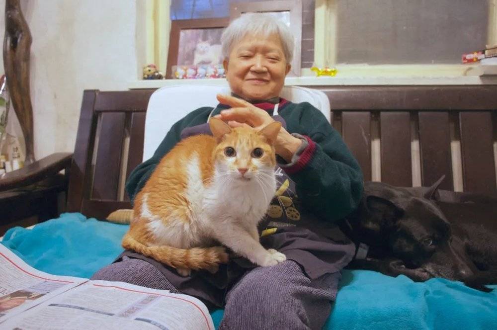 朱天心母亲刘慕沙和家里的猫（出版方供图）<br>
