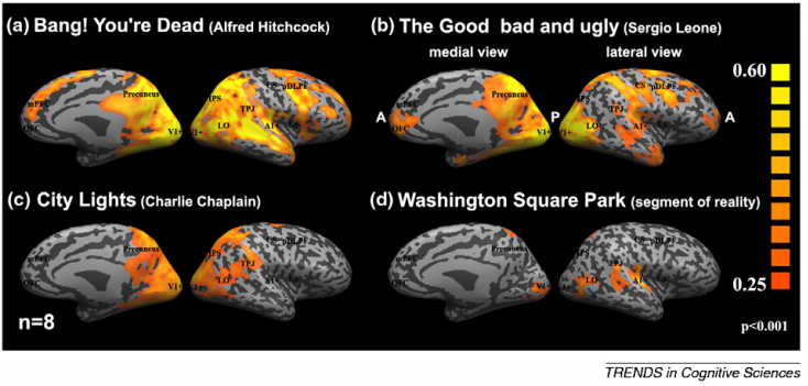 不同受试者观看不同电影时，脑区神经激活的分布情况，来源：10.1016/j.tics.2009.10.011<br>