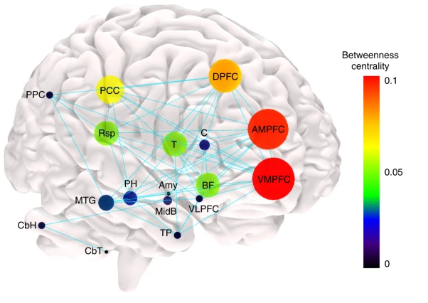 一项最新研究使用图论方法解析了DMN定义的脑区间结构网络丨来源：10.1038/s42003-019-0611-3<sup>[13]</sup><br>