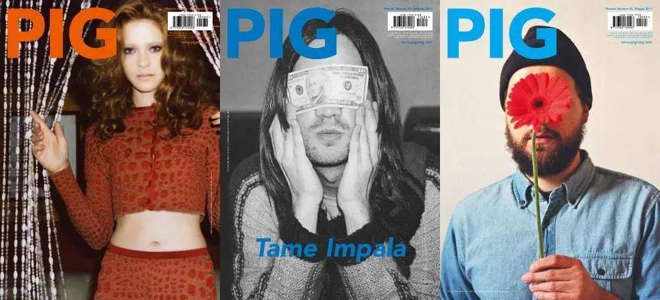 《PIG》的一些封面，已在 2013 年停刊<br>