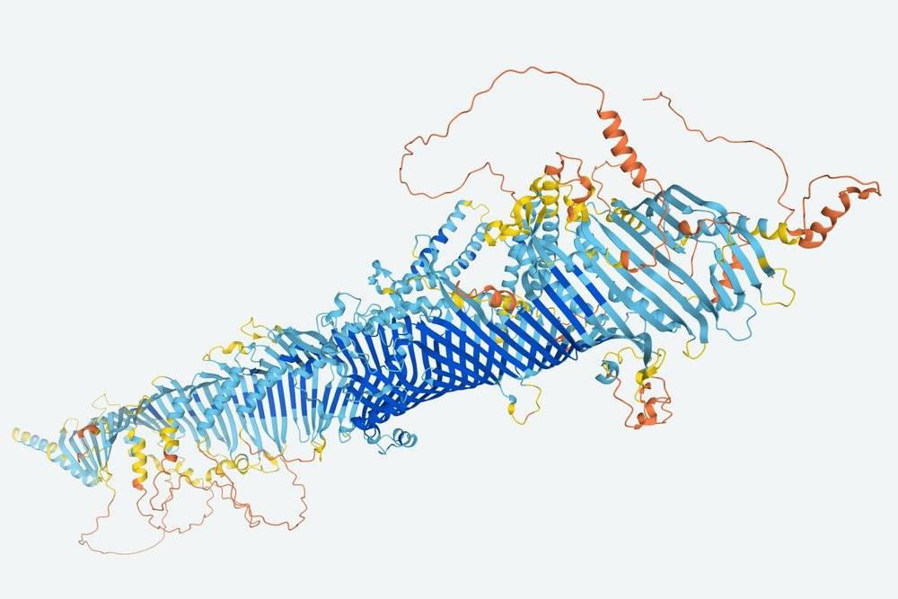 这是人工智能技术赋予的果蝇蛋白质形状，图片来自纽约时报