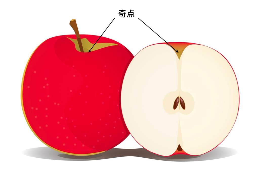  存在于苹果茎与果实接触部分的凹陷，是一个奇点。| 图片来源：Eelffica / Pixabay<br label=图片备注 class=text-img-note>