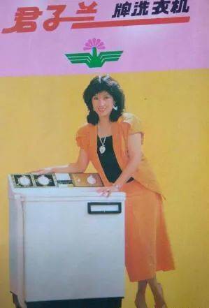 君子兰+洗衣机，80年代东北地区硬通货<br>