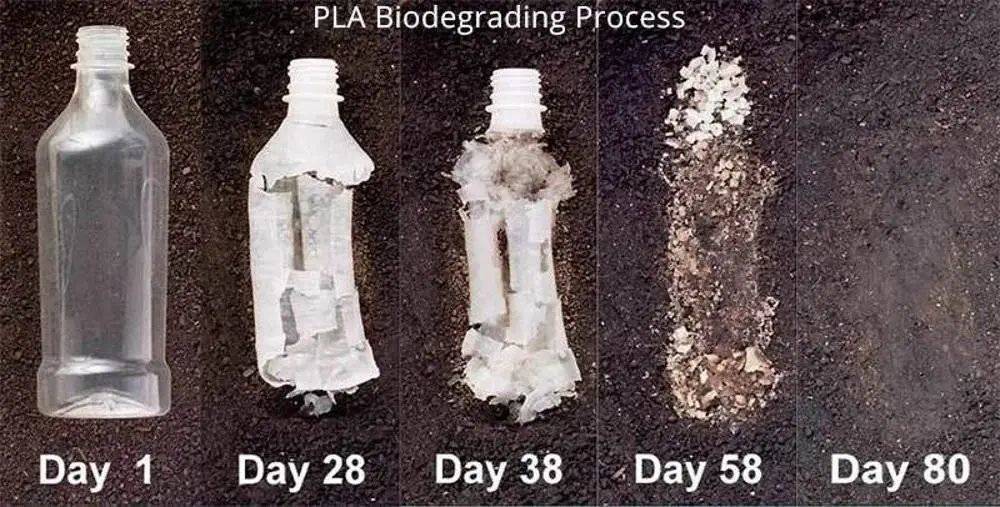 PLA 材料的自然降解过程<br>