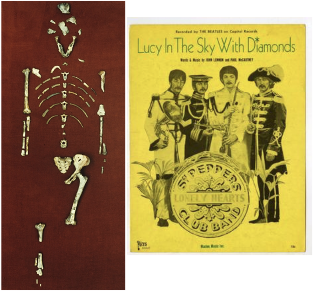 （左）“露西”骨架 | ASU；（右）披头士乐队《天空中戴着钻石的露西》美国版乐谱封面  | 维基<br>