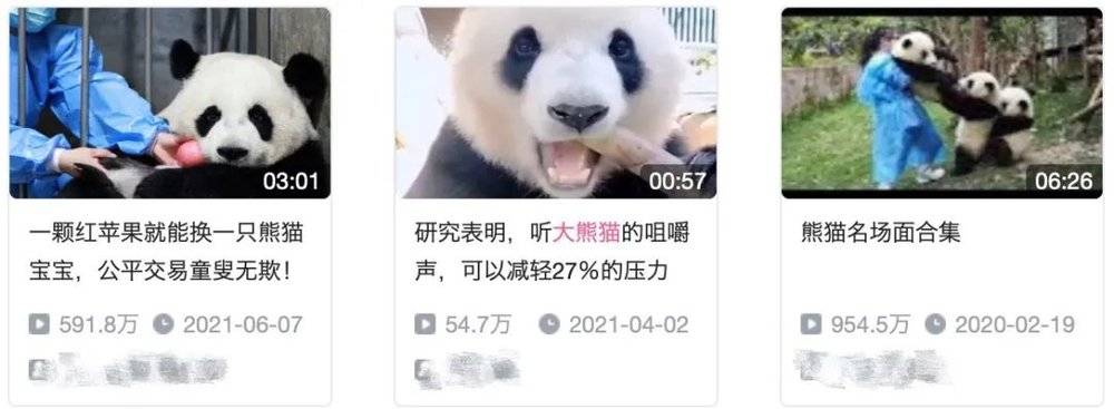 B站中的“大熊猫”视频<br>