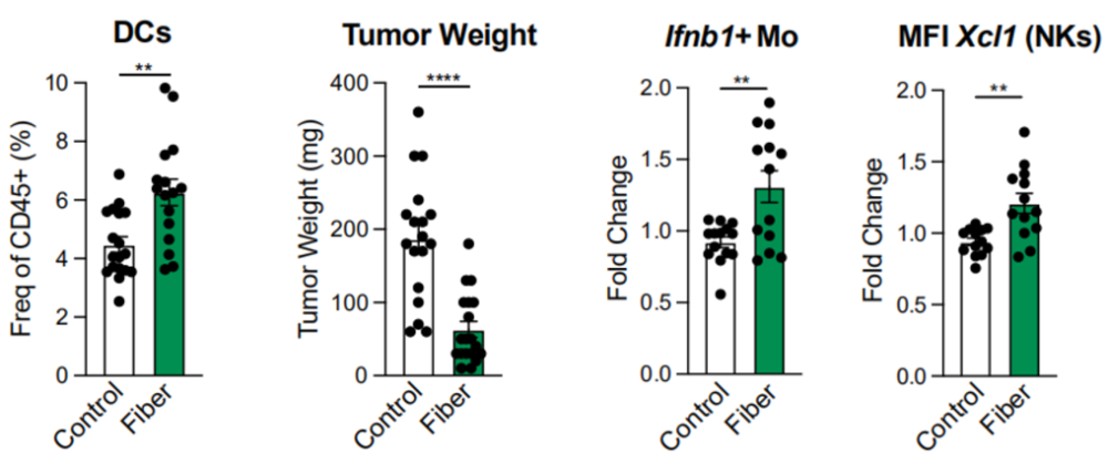 高纤维饮食下，小鼠的肿瘤微环境得到很好改善，DCs、Mo、NK细胞的活性和数量增加<br>