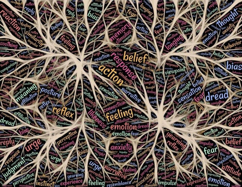 我们大脑中的神经细胞搭建了一张超级神经网络 | Pixabay<br label=图片备注 class=text-img-note>