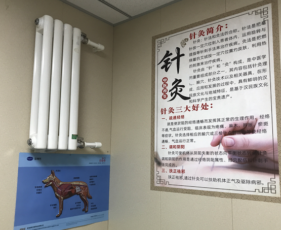 一家宠物医院的针灸海报<br>