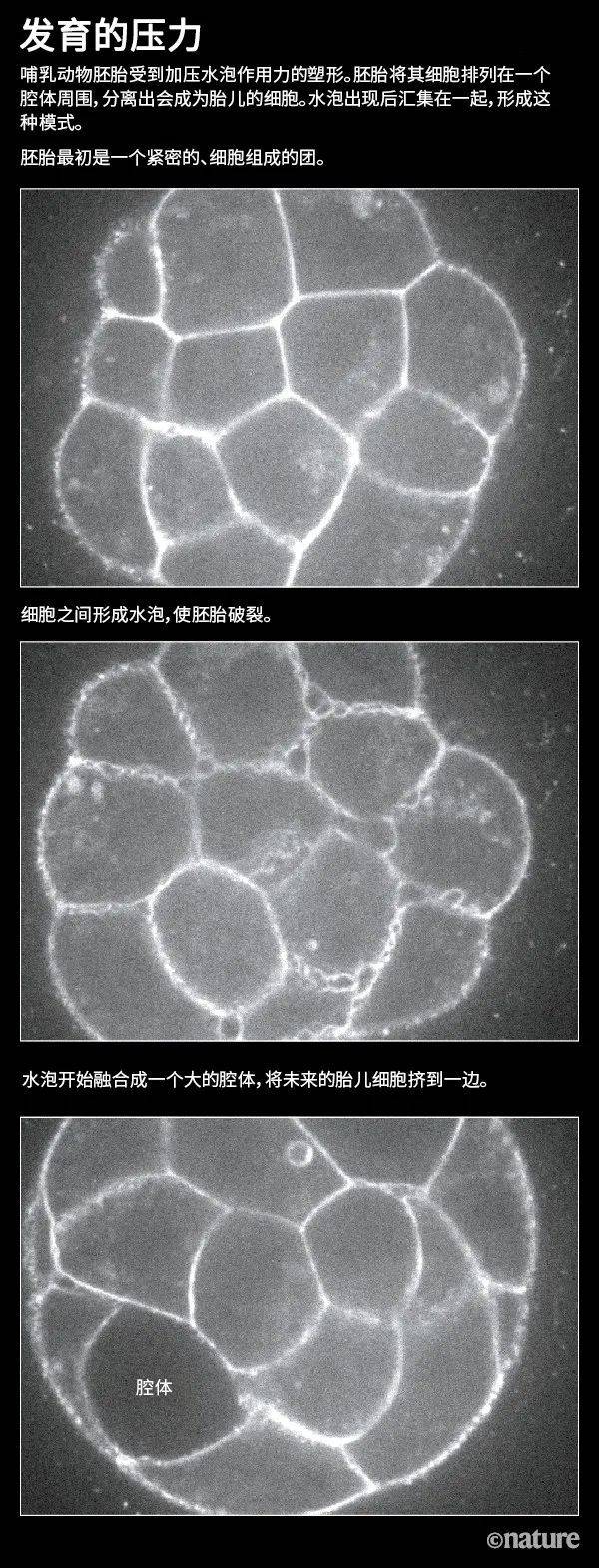 来源：参考文献2<br>