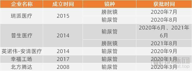 国内一次性内窥镜NMPA获批情况（部分）