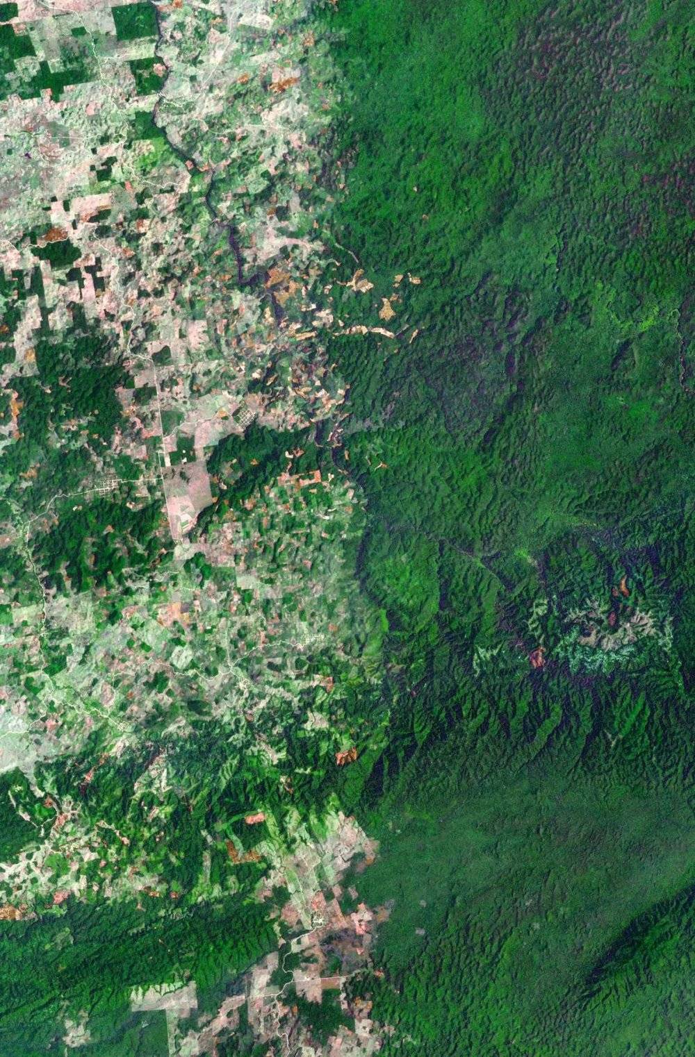 2016年危地马拉和伯利兹边界的卫星照片，显示了当政府土地政策存在巨大差别时不同的效果。左边是危地马拉的农田，跨过边界，右边便是伯利兹茂密的森林。这样的陆地卫星图像显示，1991~2014年，危地马拉的森林减少了32%，而伯利兹仅减少了11%。