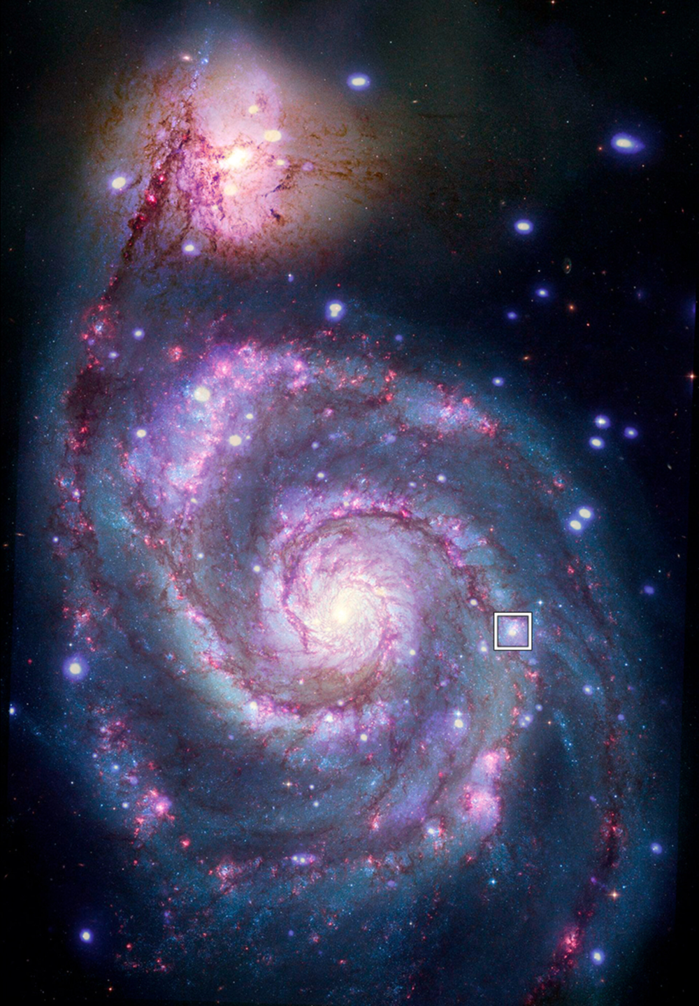  星系M51，由于其独特的外形，M51也常被称为涡状星系。图中方框处显示的为新发现的候选系外行星所在的位置。| 图片来源：X-ray: NASA/CXC/SAO/R. DiStefano, et al.; Optical: NASA/ESA/STScI/Grendler<br label=图片备注 class=text-img-note>