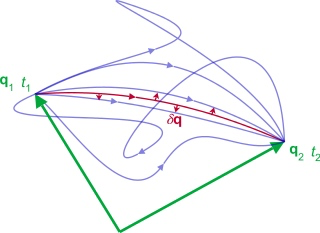 图5：哈密顿原理：事物真实运动状态总是力图使哈密顿作用量（即拉格朗日函数L的积分S）取极值，通常是最小值。这条最短路径称为正路（真实运动，红色），其余路径称为旁路（可能运动）。<br label=图片备注 class=text-img-note>
