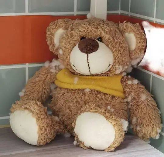 蛙雷救助的小熊刚刚被捡到时的样子，图片：受访者提供<br>