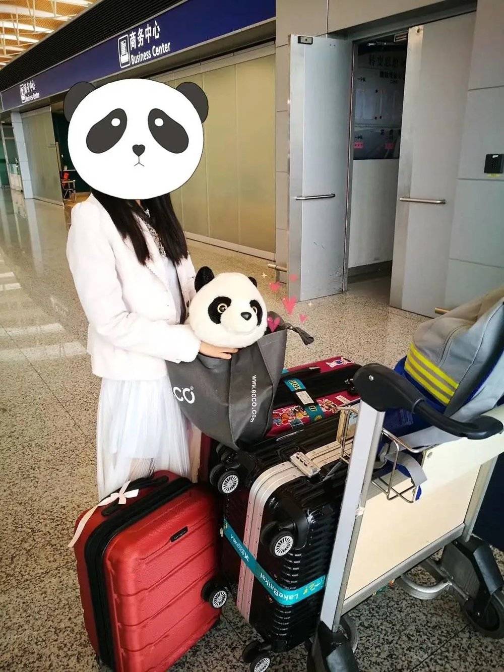 出国留学的时候，Sala已经带了不少行李，但还是坚持给溜溜留出四分之一旅行箱的位置，图片：受访者提供<br>