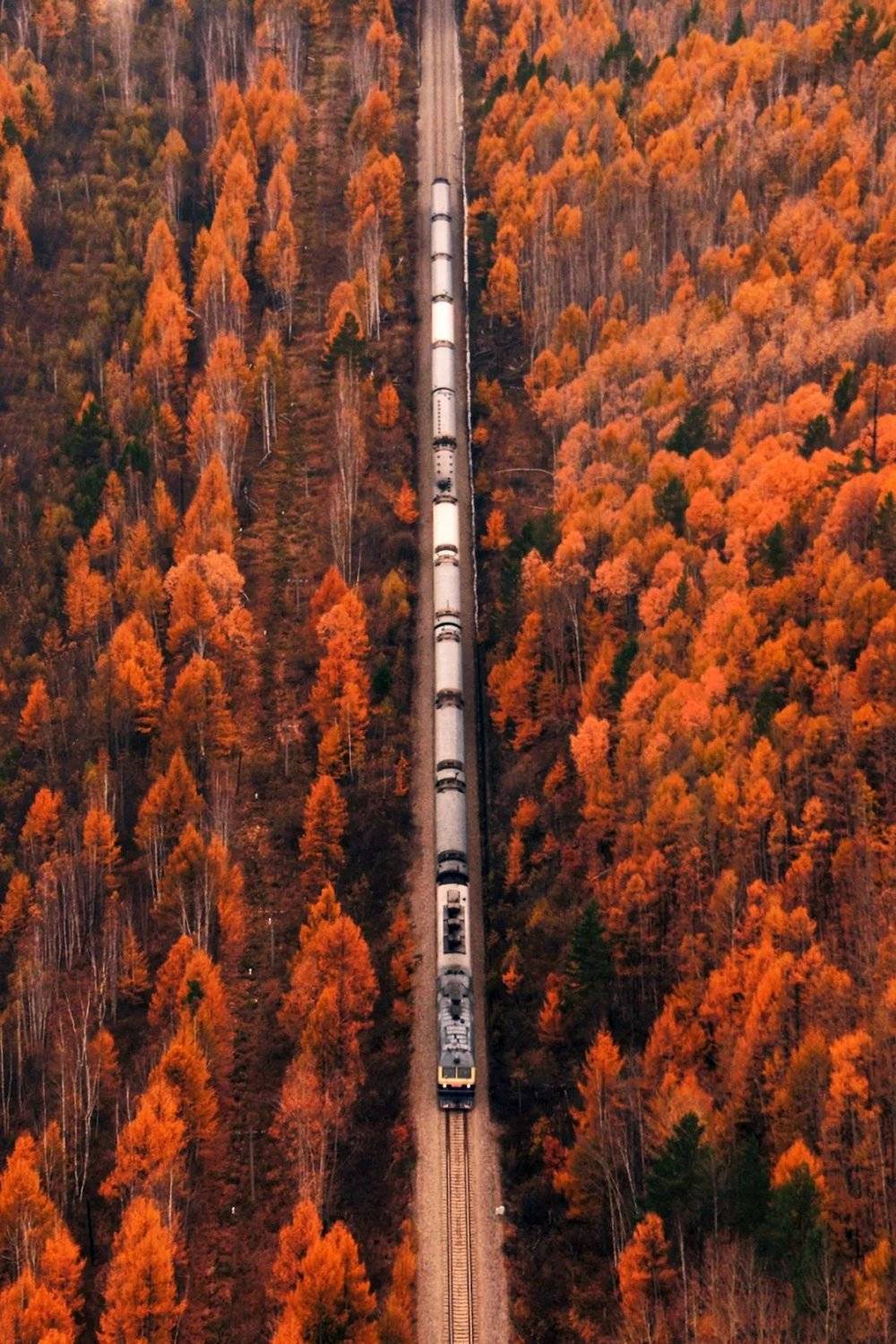富西线穿行于森林之中，秋季景色迷人。摄影/王嵬
