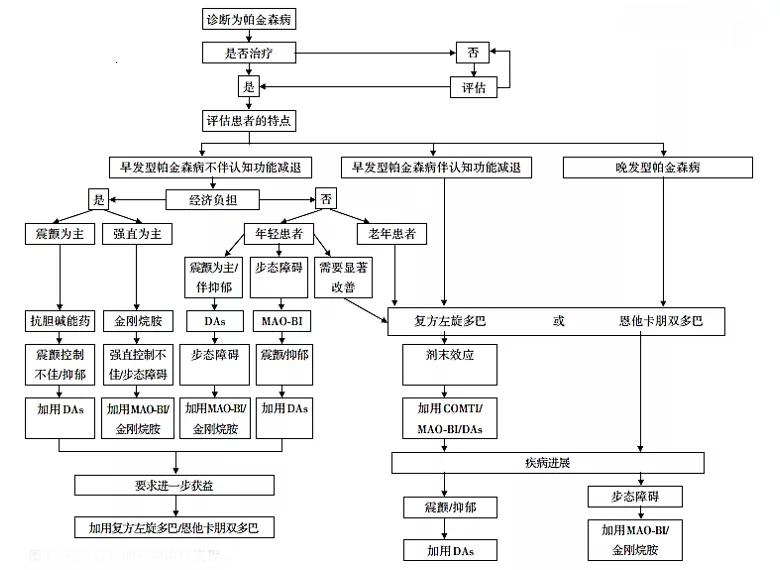 帕金森病的药物治疗流程 <br>