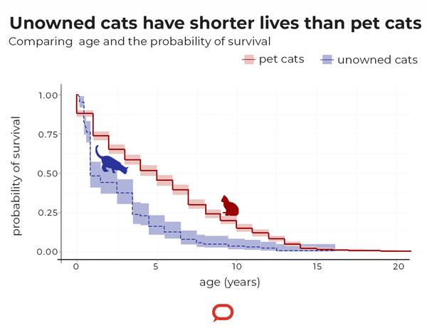 “没有主人的猫的寿命比宠物猫更短”<br>