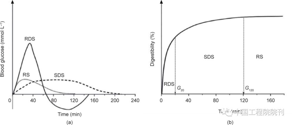 图4 营养淀粉组分的生物利用度。（a）RDS、SDS和RS的体内血糖反应；（b）Englyst法体外消化试验<br label=图片备注 class=text-img-note>