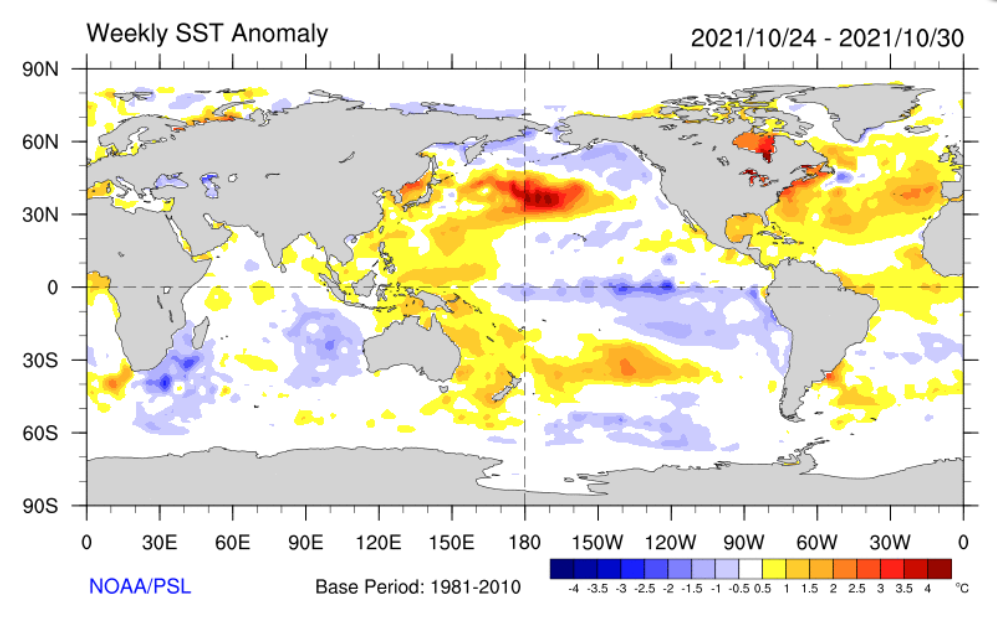 最近一周全球海表温度距平（偏离1981-2010年平均值的状况），可以看到赤道中东太平洋呈现显著偏冷，一次拉尼娜事件正在发展。丨美国国家海洋与大气管理局（NOAA）